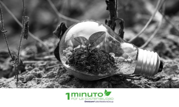 minuto-sostenibilidad-21